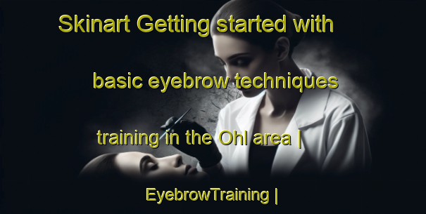 Skinart Getting started with basic eyebrow techniques training in the Ohl area | EyebrowTraining | EyebrowClasses | SkinartTraining-United States
